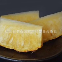 徐聞金鉆鳳梨臺農17鳳梨 現(xiàn)摘現(xiàn)賣6—10斤（2-3個果）