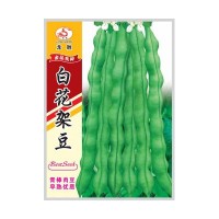 重慶本地受歡迎的四季豆品種，好吃好賣不易老化帶小時候的清香味