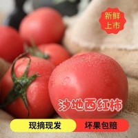 甘肅特產沙地西紅柿 口感番茄 高原生態(tài)蔬菜 新鮮番茄 順豐包郵