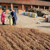 廠家批發(fā)湖北隨州油茶籽殼、茶粕、現(xiàn)貨量大從優(yōu)