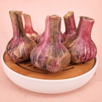 山東大蒜一件代發(fā) 干蒜，大干蒜 專業(yè)倉(cāng)儲(chǔ) ERP對(duì)接 5斤裝