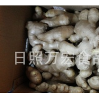 生產(chǎn)工廠供應(yīng)出口生姜，風(fēng)干姜，保鮮姜。