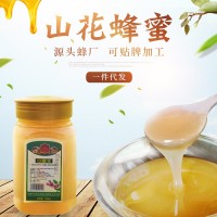 現(xiàn)貨供應土蜂蜜結晶山花蜂蜜500g瓶裝土特產(chǎn)洋槐蜂蜜一件代發(fā)