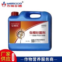 廠家批發(fā) 植物生長調(diào)節(jié)劑 ?；ūＥ蚬财諛飞鶋衙鐒?現(xiàn)貨批發(fā)