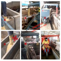 湖南自動化養(yǎng)豬設(shè)備 電動喂料車 養(yǎng)豬場喂料機(jī) 興達(dá)牧機(jī)