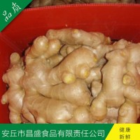 出口歐美、加拿大、荷蘭、英國(guó)級(jí)保鮮姜、風(fēng)干姜（價(jià)格面議）