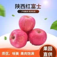 陜西寶雞紅富士蘋果包郵帶箱5斤/10斤新鮮現摘水果脆甜應季批發(fā)