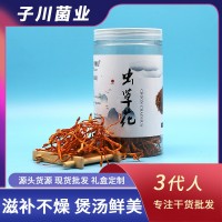 子川罐裝蟲草花60g送禮煲湯煲粥 產地貨源大量現貨批發(fā)南北干貨
