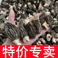 特價羊肚菌干貨 酒店餐飲菌湯包專用便宜食用菌產地大量批發(fā)500克  2件起批