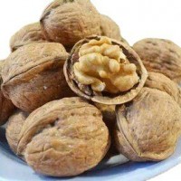新貨上市，常年供應(yīng)核桃，質(zhì)量保證 價(jià)格優(yōu)惠