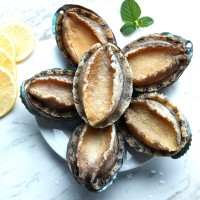 閩正煮凍鮑魚4頭-32頭鮑魚OEM、ODM定制生產(chǎn)來料加工海鮮水產(chǎn)凍品  2斤起批