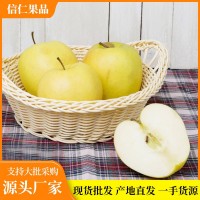 當季山東特產煙臺黃金奶油富士冰糖心帶箱10斤裝農場直供現摘現發(fā)