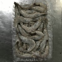 加工南美白對(duì)蝦，冷凍南美白對(duì)蝦，唐山南美白對(duì)蝦，天津南美蝦