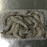 冷凍南美白對(duì)蝦，加工南美白對(duì)蝦，河北南美白對(duì)蝦，唐山南美對(duì)蝦
