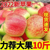[22年頭茬新蘋(píng)果】脆甜紅蘋(píng)果早熟紅富士水果新鮮當(dāng)季3/5/10斤裝 2箱起批