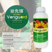 全水溶葉面肥亞磷酸鉀 高磷高鉀水溶肥 膨果?；ū９厣铱赝柿?/></a>
<div><a href=