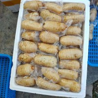 鮮天麻真空保鮮天麻一個(gè)一袋，酒店冰鎮(zhèn)天麻片，天麻食材長(zhǎng)年供應(yīng)