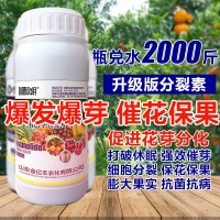 1000毫升多肉植物細(xì)胞分裂素催芽劑促花促生長(zhǎng)?；ū９~面肥正品