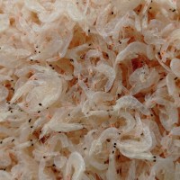 廠家直供天然烘干蝦皮 海味產(chǎn)品 流水線小蝦皮，【新品上市】