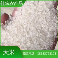2022優(yōu)質珍珠米 現(xiàn)貨直售生態(tài)大米 飽滿粒圓 無添加劑