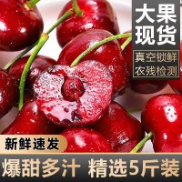 順豐包郵現(xiàn)貨美早大櫻桃甜國產(chǎn)車厘子新鮮孕婦水果水果應(yīng)當季