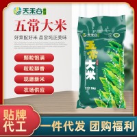 熱銷五常大米10斤裝長粒米有機種植自產稻花香2號東北大米5kg批發(fā)