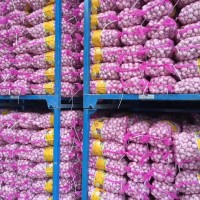 大量供應(yīng)山東大蒜，干蒜，鮮蒜、市場蒜。蒜米料，出口大蒜