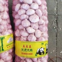 大蒜公司，源頭工廠供應(yīng)金鄉(xiāng)出口大蒜，超市大蒜